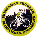 BringaMax Program